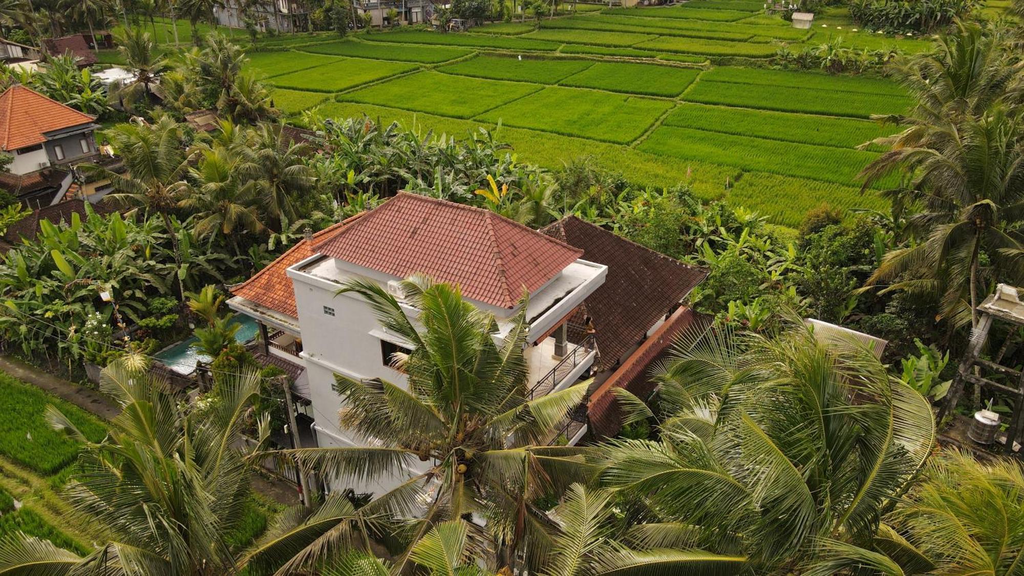 Nirwa 1 Ubud Guesthouse Extérieur photo