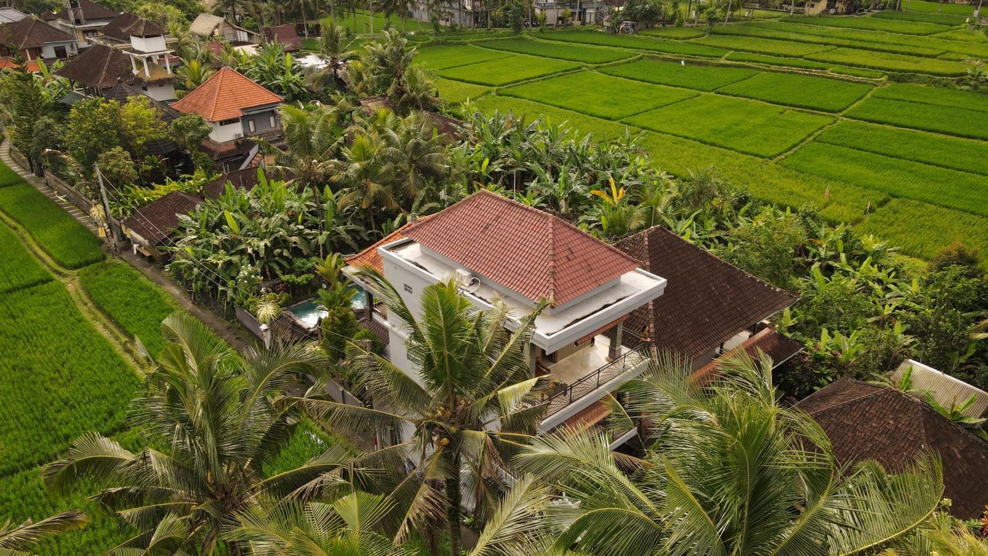 Nirwa 1 Ubud Guesthouse Extérieur photo